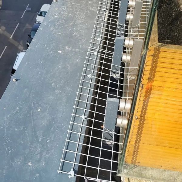 Bird Exclusion Installation on Commercial Building in Kent
